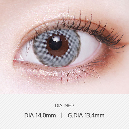 [LensVery] Wonder Eye 1-day Gray (1pack / 10pcs)