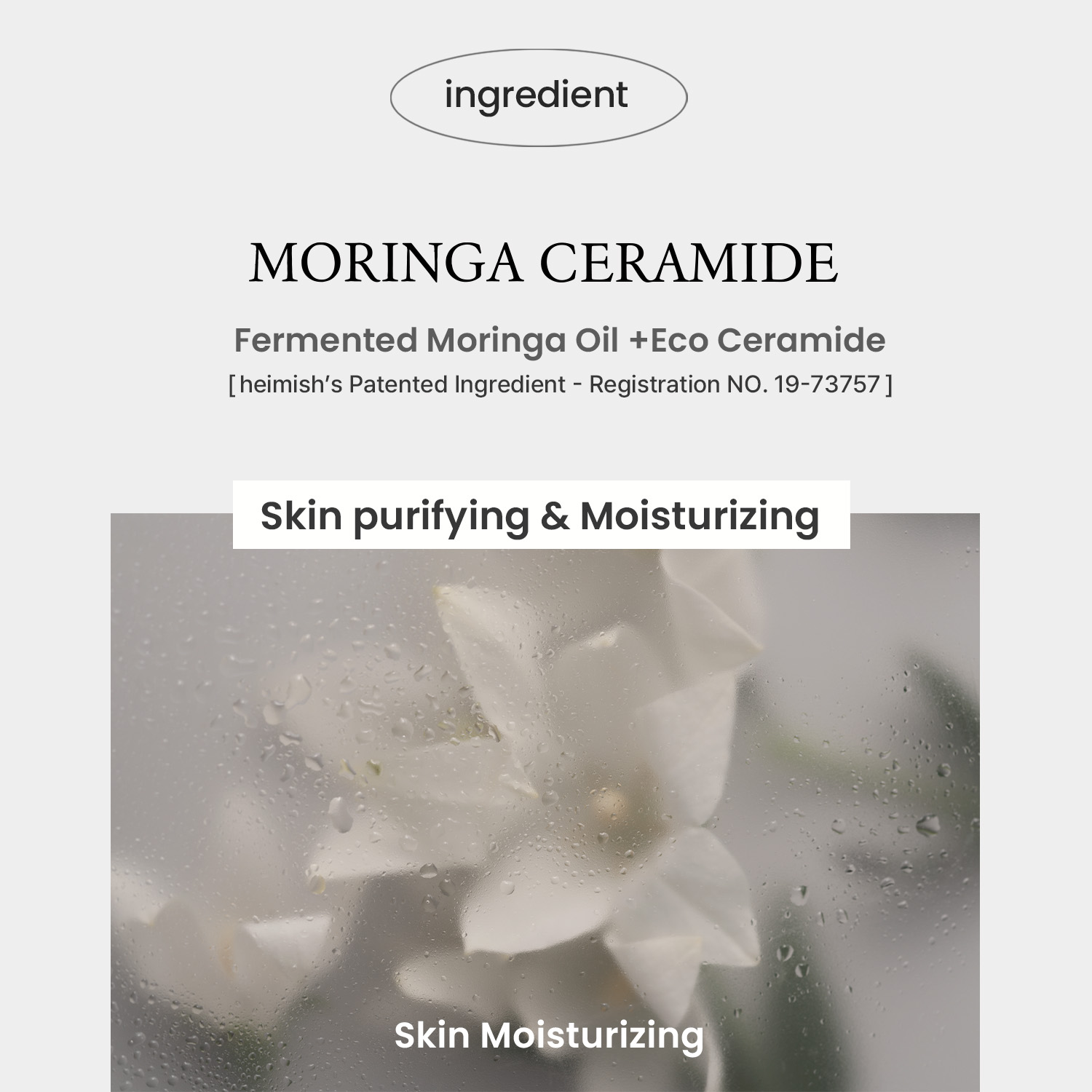 [heimish] Moringa Ceramide Collagen Enriched Moisturizer 120ml