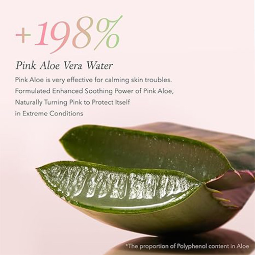 [APRILSKIN] Pink Aloe Pack Cleanser 120g