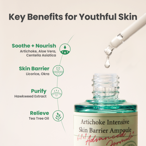 [AXIS-Y] Artichoke Intensive Skin Barrier Ampoule 30ml