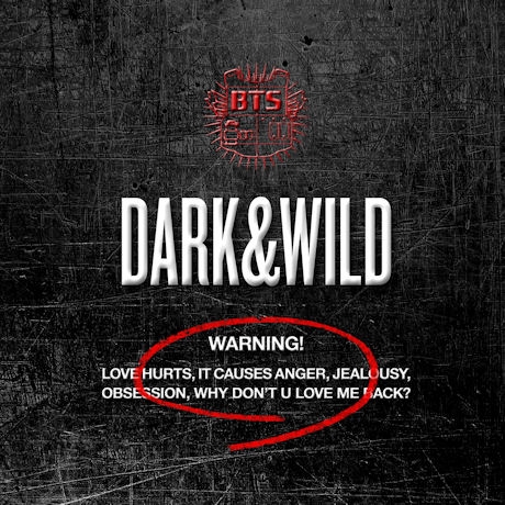 [K-POP] BTS The 1st Studio Album - DARK&WILD