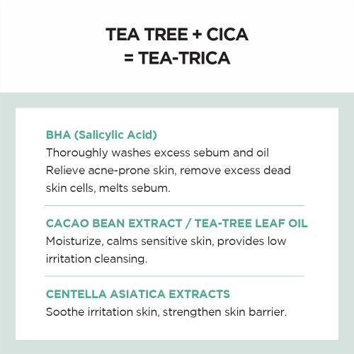 [SKIN1004] Madagascar Centella Tea-Trica Bha Foam 125ml