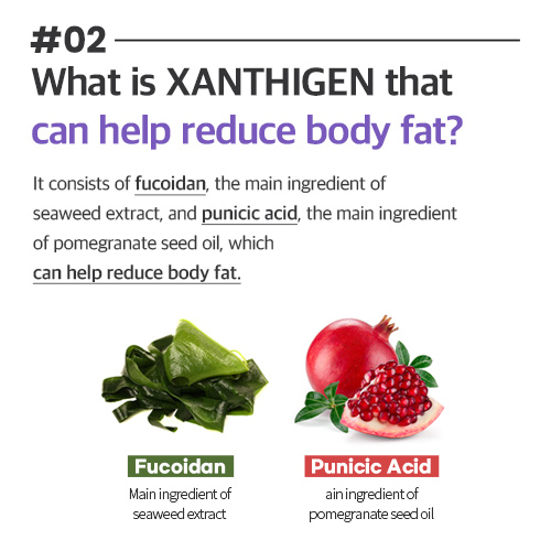 [skinny lab] Easy Slimming Xanthigen (14 sachet/ 2 weeks supply)