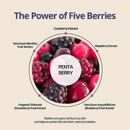 [HEVEBLUE] Penta Berry Panthenol Repair Peel Pad (70ea)