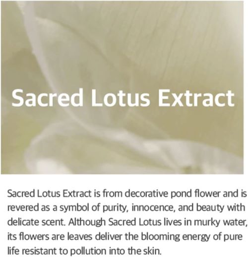 [MIXSOON] Lotus Flower Essence 100ml